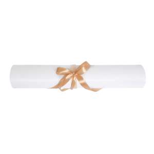 podklad-ochronny-wlokninowy-40m-perforacja-2m-qms-premium-plus-hurtownia-kosmetyczna-qms.jpg