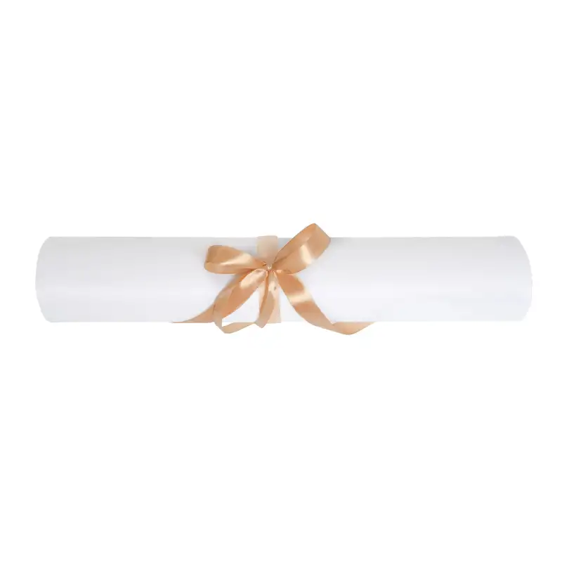podklad-ochronny-wlokninowy-40m-perforacja-2m-qms-premium-plus-hurtownia-kosmetyczna-qms.jpg