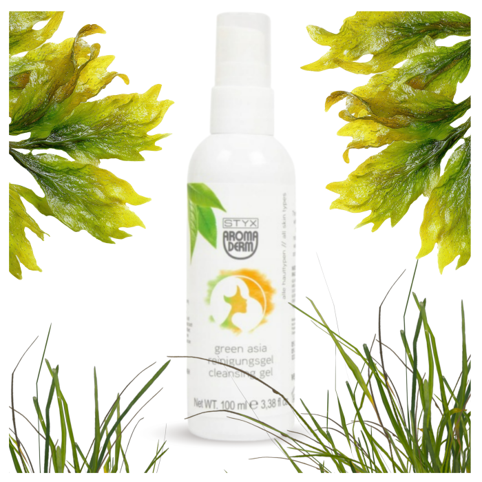 40102 Green Asia Reinigungsgel 100ml.jpg