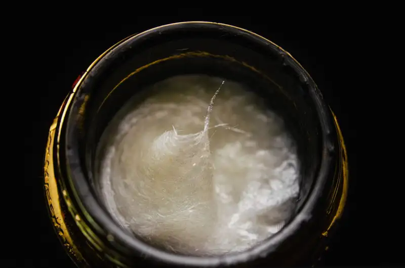 carbon gel 2.jpg
