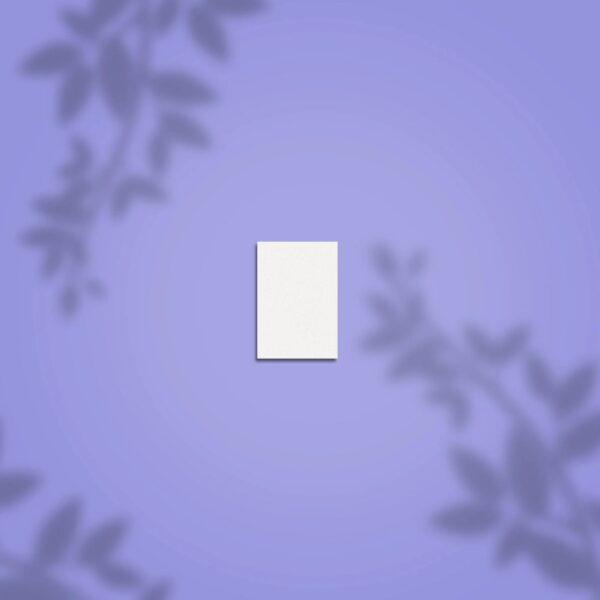 4820241069279-2_41012 4820241069279-2_41012