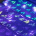 5902502471034-3_27462