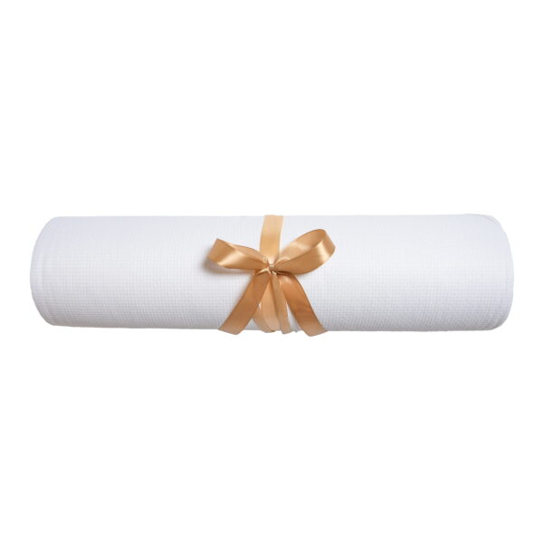 5906670721311-3_40493 5906670721311-3_40493