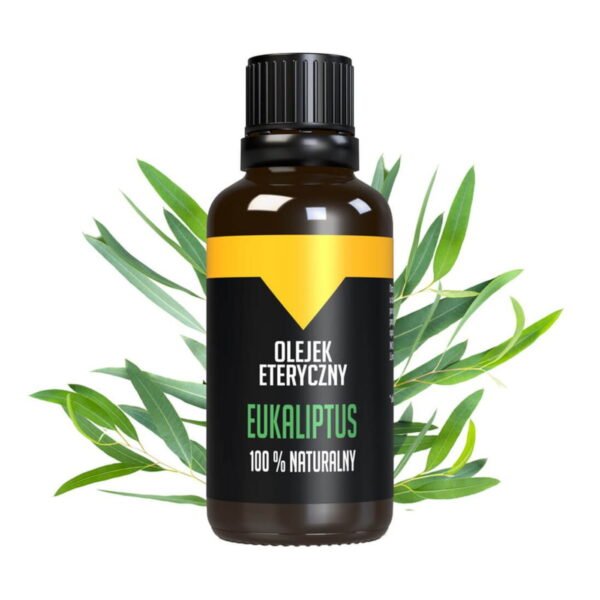 5907678401502-1_32484