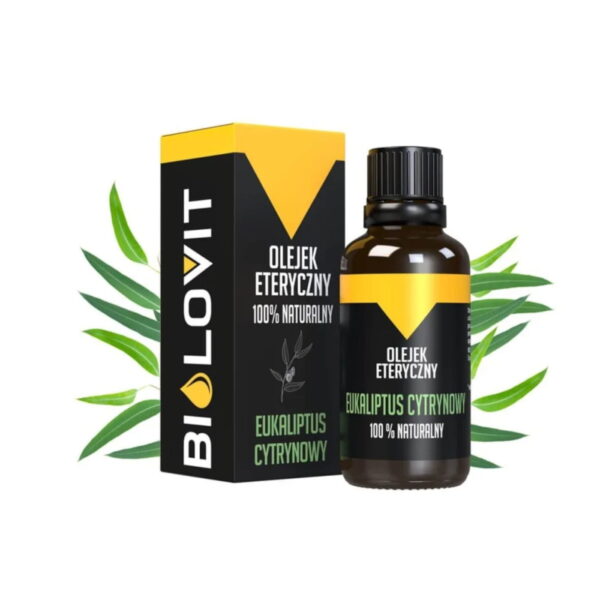 5907678404107-2_32051 5907678404107-2_32051