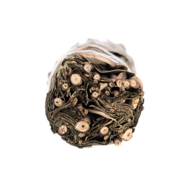 5907678408303-3_32237 5907678408303-3_32237