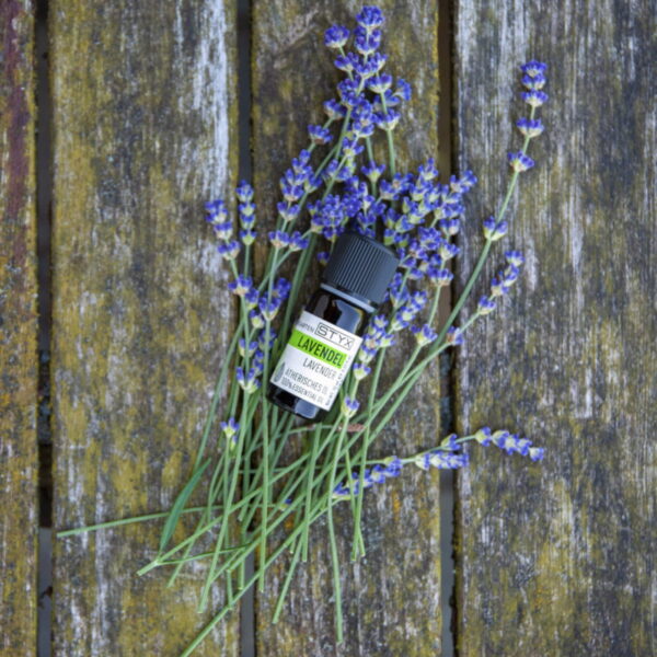 9004432152000-2_37085 9004432152000-2_37085